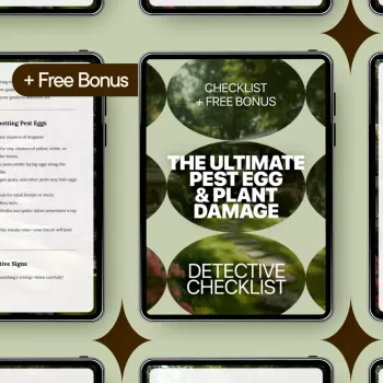 Find Pest Eggs Fast: Decode Plant Damage & Stop Reinfestation