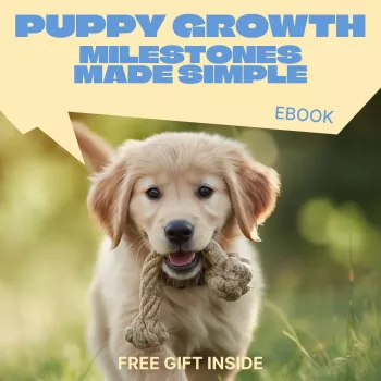 Puppy Growth Milestones Timeline: Birth to 12+ Months