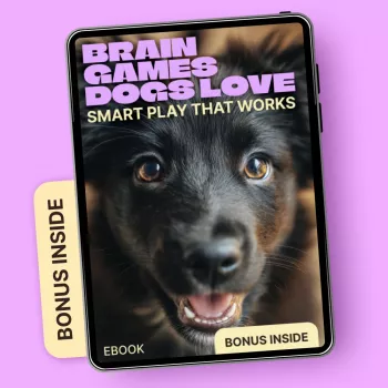 Brain Games for Dogs: Easy Puzzles for Calm Focus